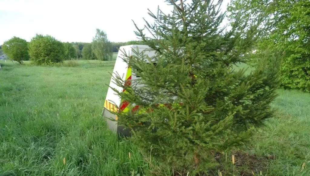 Verkehrsüberwachungskamera hinter Baum auf Feld