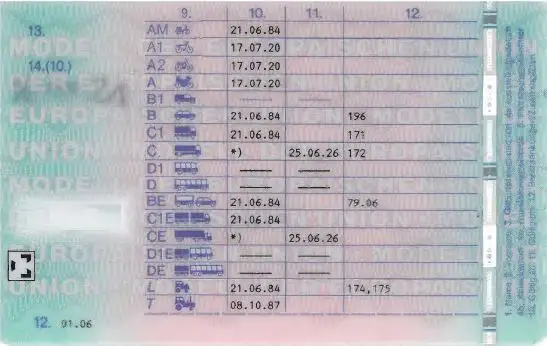Rückseite eines Führerscheins mit Klassen und Daten